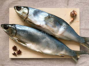 Жерех (бабочка) холодного копчения: Сиг вяленый